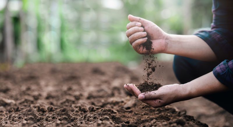 Healthy Garden Soil