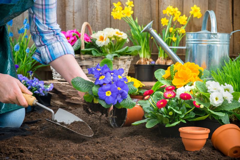 Timely Garden Preparation