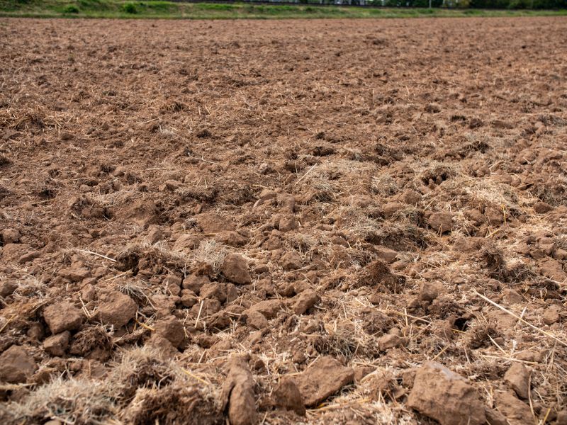 Soil Health Improvement